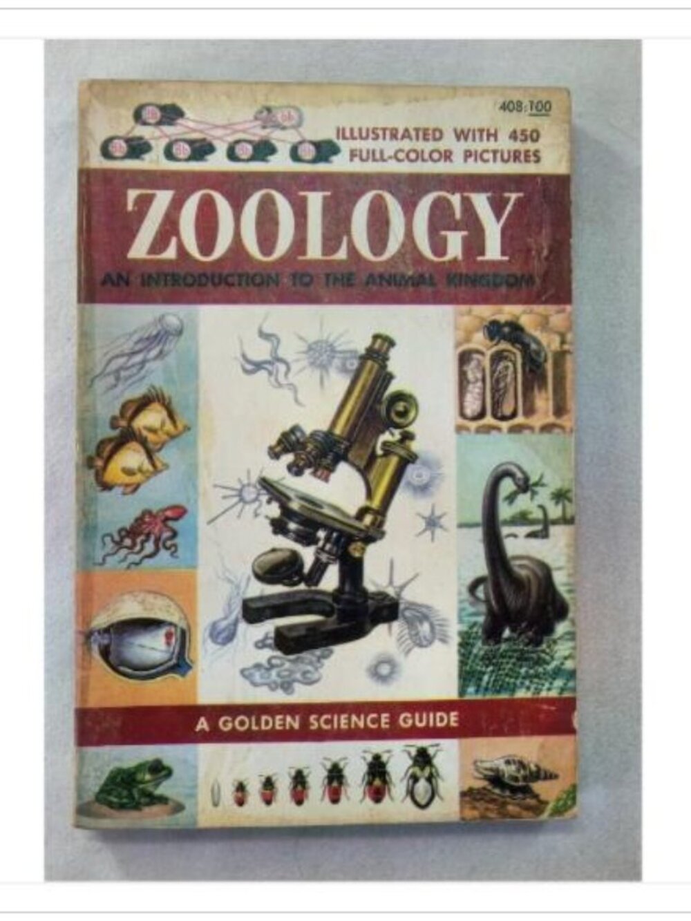 Zoology: An Introduction to the Animal Kingdom 1958 Paperback Book Vintage Read